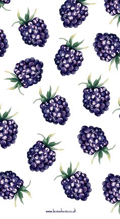 a bunch of purple berries on a white background