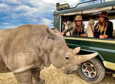 two women are riding in the back of a truck with a rhino