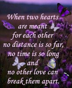 purple flowers and butterflies with a quote from the poem when two hearts are meant for each other, no distance is so far, no time is so long and