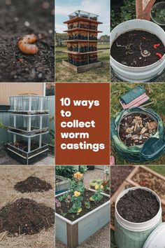 several different pictures with the words 10 ways to collect worm worms in their home garden