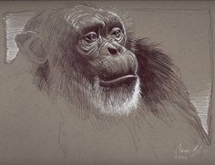 a drawing of a monkey's face in black and white