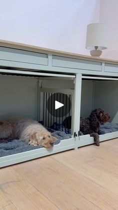 two dogs laying in their kennels on the floor