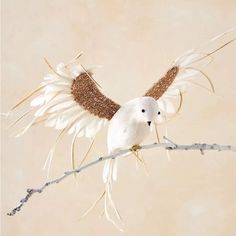 a white bird sitting on top of a branch with its wings spread out and it's eyes closed