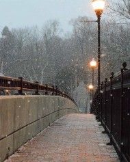 a street light sitting on the side of a snow covered road next to a bridge