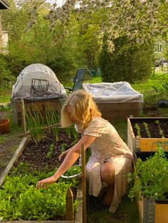 a woman kneeling down in front of a garden filled with green plants and growing vegetables