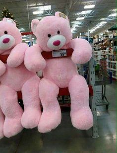 two large pink teddy bears sitting on top of each other