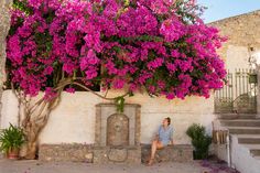 a woman sitting under a pink tree in front of a white building with stairs leading up to it