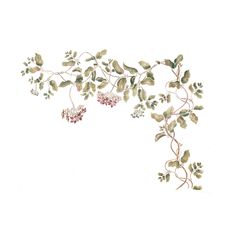 Hoya Vine Wall Stencil by DeeSigns Flowers And Vines Painting, Vines Artwork, Flower Vine Painting, Vine Painting, Chinoiserie Stencil, Truck Painting, Nautical Stencils, Shabby Chic Stencils, Art Deco Stencil