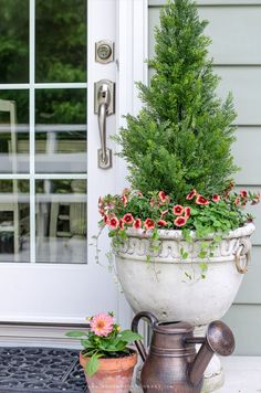 a potted plant sitting next to a watering can