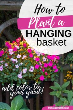 How To Plant A Hanging Basket Tomato Hanging Basket, Hanging Baskets Plants, Hanging Basket Garden, Garden Basket, Hanging Flower Baskets, Flower Baskets, Plants For Hanging Baskets, Flower Pots Outdoor