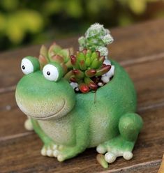 a green frog sitting on top of a wooden table next to a succulent plant