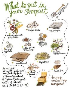 what to put in your compost is shown on a whiteboard with green writing