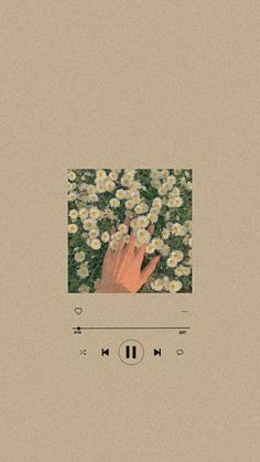 an image of someone's hand reaching for daisies in the middle of their album cover