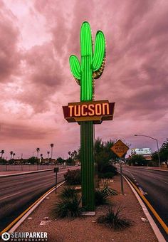 a green cactus sitting on top of a tall sign