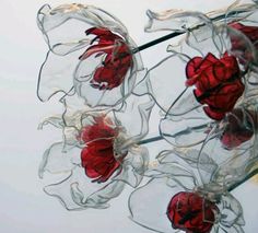 some red flowers are hanging from a wire