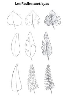 the different types of leaves are shown in this drawing lesson, which shows how to draw them