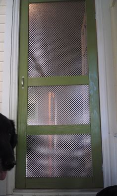 a dog is standing in front of a green door