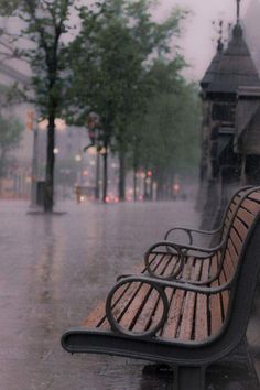 an empty park bench in the rain on a city street with trees and buildings behind it