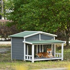 a dog house with a dog laying in it