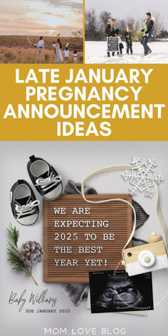 the front cover of an upcoming book, titled late january pregnancy announcement ideas