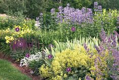 a garden filled with lots of purple and yellow flowers next to green grass covered hillside