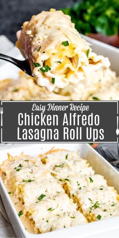 chicken alfredo lasagna roll ups in a casserole dish