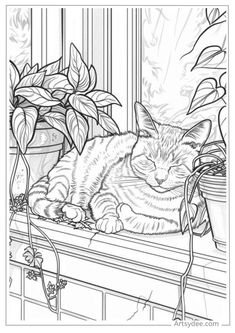 40+ Cat Coloring Pages: Free Printable PDF! coloringpageprint #disneycoloring #twentycoloring #freethankfulprintable Cat Coloring Pages Free Printable, Cat Drawing For Kid, How To Draw Cats, Adult Coloring Pages Free Printable, Draw Cats, Coloring Animals, Coloring Pages Adult, Cat Coloring Book