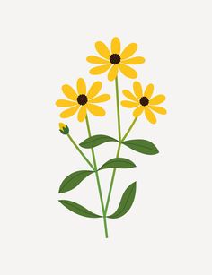 three yellow flowers with green leaves on a white background