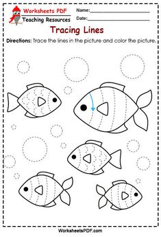 trace the line with fish and bubbles