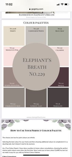 an info sheet with the words elephant's breath no 2 - 29 on it