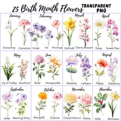 the 25 birth month flowers are shown in different colors and sizes, including pinks, yellow