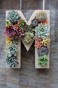 the letter m made out of succulents is displayed on a wooden surface