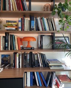 a bookshelf filled with lots of books next to a potted green plant