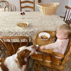 a baby sitting in a high chair next to a brown and white dog eating food