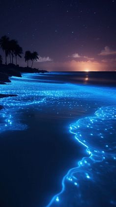 the beach is lit up with blue lights and stars in the night sky above it