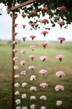 pink and white carnations are hanging from a wooden pole in the middle of a field