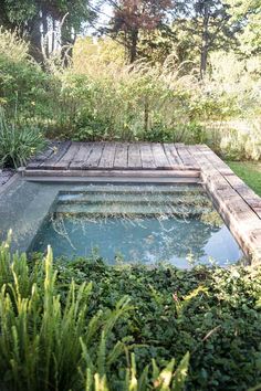 a small pool in the middle of some plants and trees with water running through it