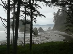 the beach is surrounded by trees and rocks