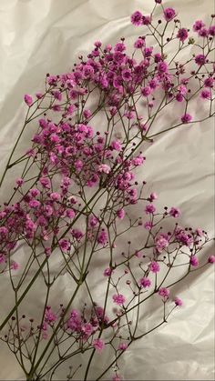 some pink flowers are growing out of the white sheeted paper that is covering them