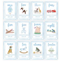 twelve months of birth cards with animals and letters