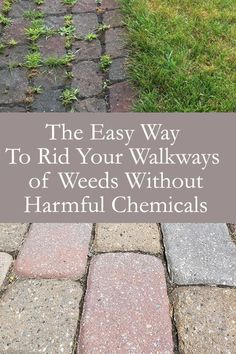 the easy way to rid your walkways of weeds without harmful chemicals is here