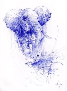 a drawing of an elephant with its trunk in the air and it's head down