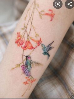 a hummingbird and flower tattoo on the arm