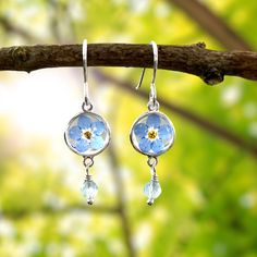 Real, pressed forget me not flowers in an organically shaped sterling silver setting with solid sterling silver earwires. The earrings feature a single real, pressed, forget me not flower in each earrings. A tiny faceted semi-precious Aquamarine stone completes the delicate drop. The flowers are suspended in clear resin allowing the light to shine through as you wear the earrings. These beautiful forget me not earrings come presented in a fully recyclable gift box and a sterling silver polishing Pressed Flowers Sterling Silver Drop Earrings, Silver Sterling Flower Earrings With Pressed Flowers, Sterling Silver Drop Earrings With Pressed Flowers, Silver Sterling Silver Earrings With Pressed Flowers, Delicate Silver Earrings With Pressed Flowers, Sterling Silver Pressed Flower Drop Earrings, Forget Me Not Flowers, Forget Me Not Flower, Special Flowers