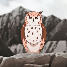 an owl sitting on top of a rock in front of snow covered mountain tops with mountains in the background