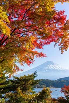 the view of mt fuji in autumn, with colorful leaves on trees and water below