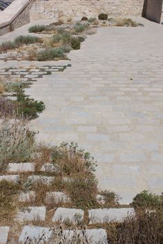 an empty stone walkway with plants growing on it