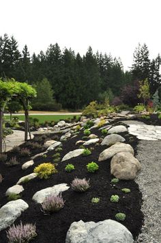 a garden with rocks and plants in the middle, surrounded by trees on both sides