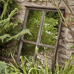 an old window in the middle of some plants