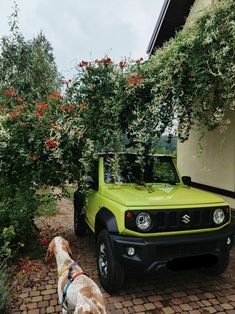 a dog standing next to a green pick up truck in front of a bush with red flowers on it